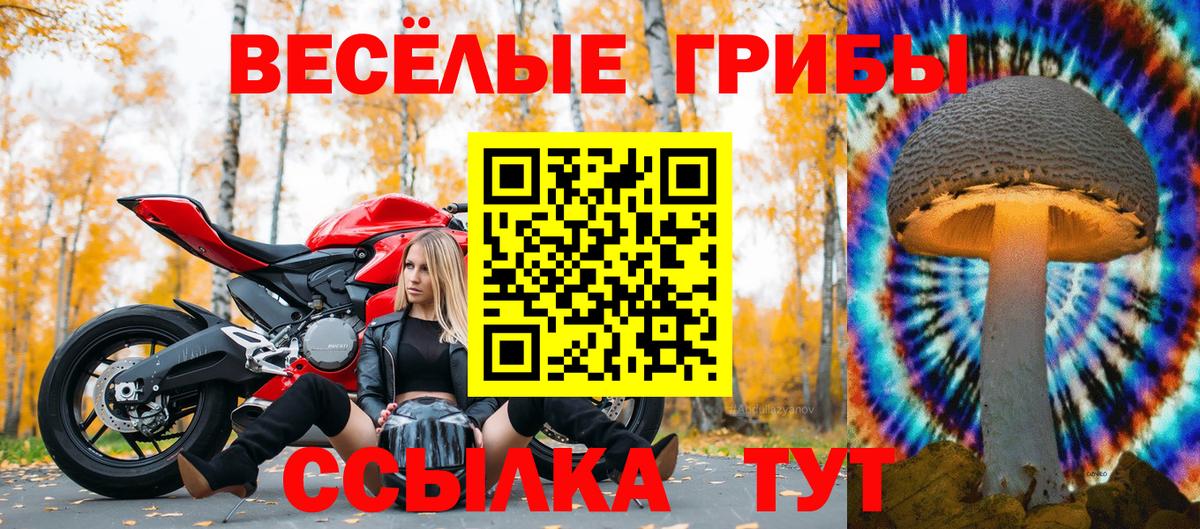 Россия  Галлюциногенные грибы Magic Shrooms  даркнет сайт  Вход с VPN  Псилоцибиновые грибы Magic Shrooms 
